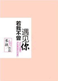 《你瞒我瞒/若我不曾遇见你》