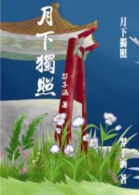 (BG-霹雳同人)月下独照