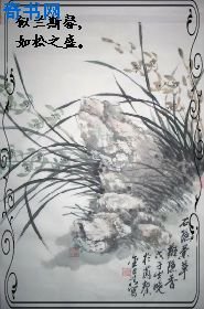 还珠梅花之似兰斯馨
