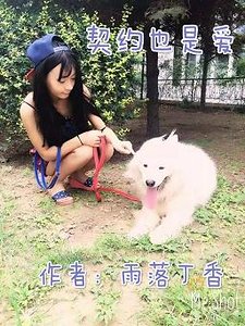 《契约也是爱》