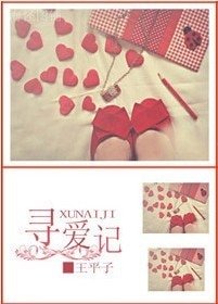 寻爱记