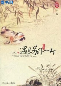 《遇见另外一个(穿越版)》