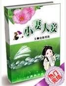 《小妻大妾》