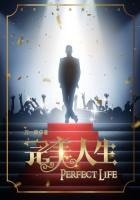 《完美人生》
