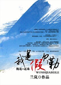 《我是假贝勒(梅花+还珠)》