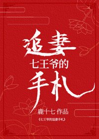 七王爷的追妻手札