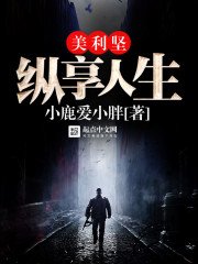 《美利坚纵享人生》