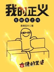 《我的正义在射程之内》