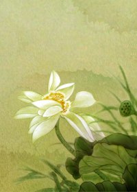 《远方伊人》