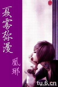 《(网王东邦同人)夏雾弥漫》