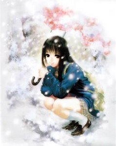 《(网王同人)舞之梦》