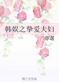 (韩娱同人)韩娱之挚爱夫妇