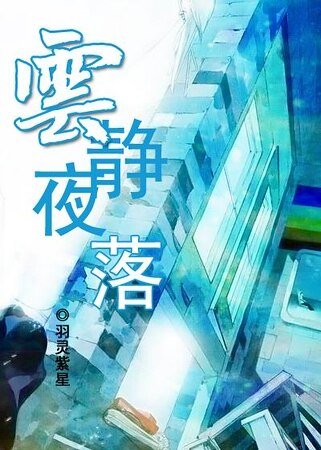 《(网王同人)云静夜落》