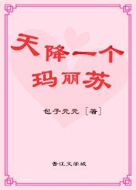 《天降一个玛丽苏》