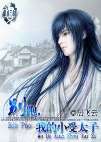 《(红楼同人)别跑,我的小受太子》