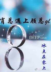 《肖总遇上顾总gl》