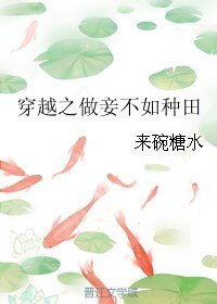 穿越之做妾不如种田