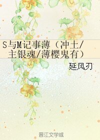 《(BL/银魂同人)S与M记事薄(冲土/主银魂/薄樱鬼有)》