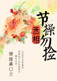 《丞相,节操勿捡》
