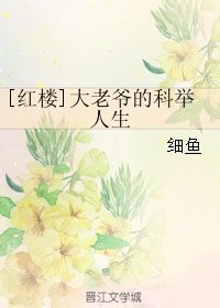 （BL/红楼同人）[红楼]大老爷的科举人生