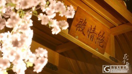 《(BL/花千骨同人)花千骨之不负流年伴》
