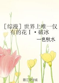 《(无CP/综同人)世界上唯一仅有的花Ⅰ·破冰》