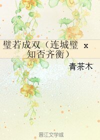 （BL/综同人）璧若成双（连城璧 x 知否齐衡）