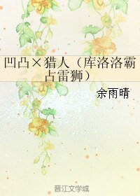 （BL/综漫同人）凹凸×猎人（库洛洛霸占雷狮）