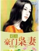 《爱上豪门枭妻》