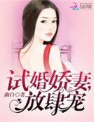 《试婚娇妻,放肆宠》