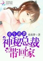 重生逆袭:神秘总裁带回家