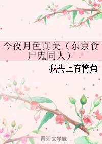 《(东京食尸鬼同人)今夜月色真美(东京食尸鬼同人)》
