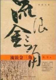 《流浪金三角》