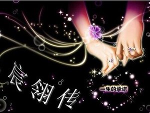 《宸翎传》