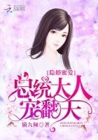 《隐婚蜜爱:总统大人,宠翻天!》