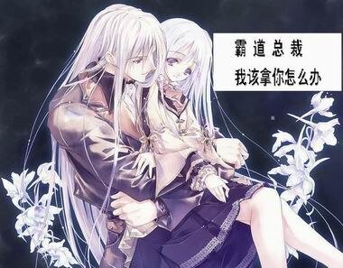 《霸道总裁:我该拿你怎么办》