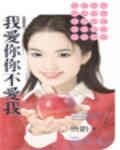 我爱你你不爱我（热恋伤痕系列之一）