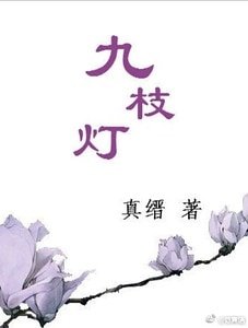 《九枝灯/寻仙》
