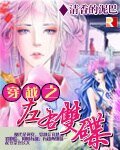 《穿越之左右双蝶》