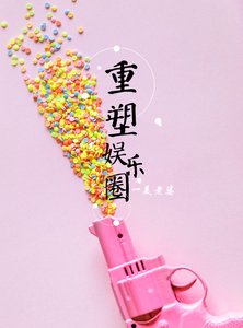 《重塑娱乐圈》