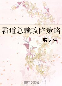 霸道总裁攻陷策略
