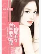 《强娶豪夺:首席,要专宠》