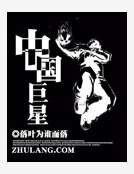 《中国巨星》