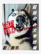 超级位面大亨终端
