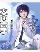 大内高手