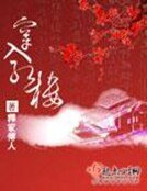 《穿入红楼》