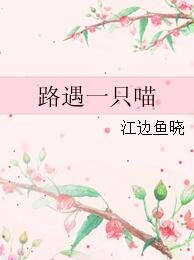 《路遇一只喵》
