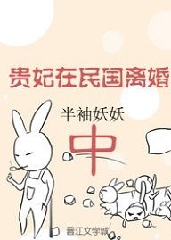 《贵妃在民国离婚中》