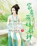 名门弃妇:家有萌娃好种田