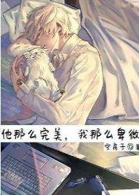 《他那么完美,我那么卑微》